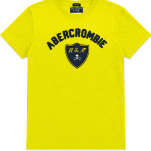 Camiseta Abercrombie & Fitch Masculina Bordada